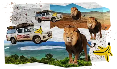 05 Tappe Viaggio DESKTOP Tanzania